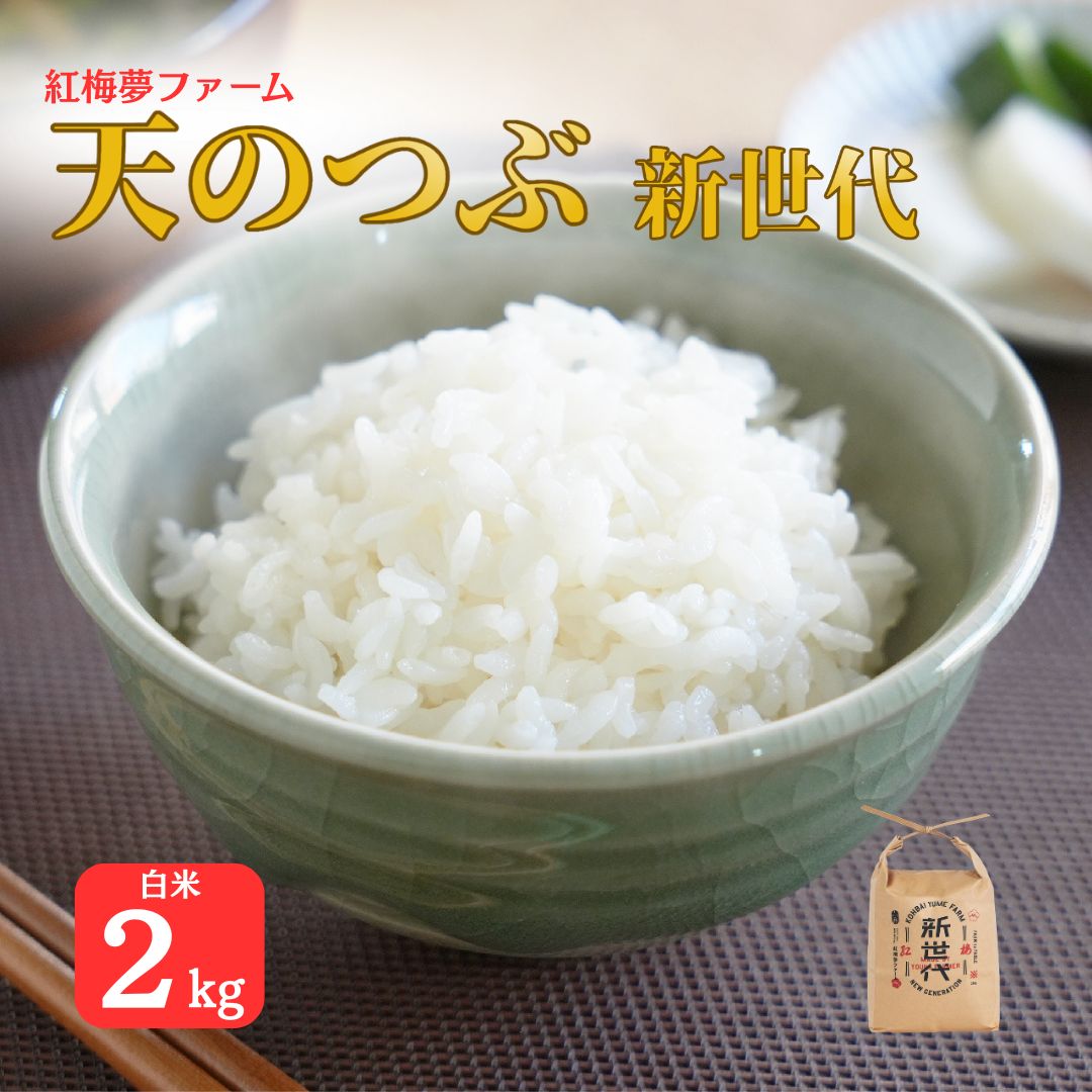 【ふるさと納税】天のつぶ 新世代 白米 2kg | 令和7年産 2025年産 米 2kg 精米 米2キロ ごはん 福島県産 南相馬 福島 紅梅夢ファーム