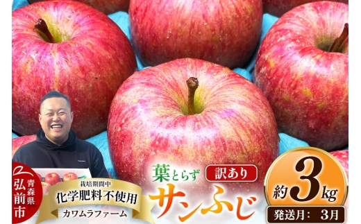 【27年3月クール便発送】りんご 葉とらず サンふじ【訳あり】約3kg【先行受付】カワムラファーム 青森県 弘前市 果物 フルーツ 林檎 リンゴ くだもの 不揃い 規格外 [先行予約 クール便 産地直送 アップル おいしい 果実 美味 甘い 赤色]