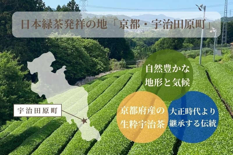 【定期便】宇治茶ティーバッグ3種セット（煎茶・ほうじ茶・抹茶入玄米茶）×4回（3ヵ月毎）〈定期便 ティーバッグ ティーパック 宇治茶 お茶 茶 煎茶 玄米茶 ほうじ茶 緑茶 抹茶 宇治抹茶 水出し 飲