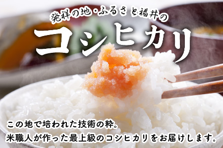 【令和7年産】特別栽培米コシヒカリ匠 16kg (2kg × 8袋)（白米）栽培期間中農薬不使用 / コシヒカリ こしひかり 白米 お米 [I-2905_01]