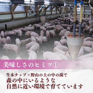 【6ヶ月定期便】千葉県産 下山農場 SPF豚 「 ほころぶた 」（ 焼き肉用 ） ／ SPF豚 豚肉 ほころぶた 焼き肉 焼肉 ロース 肩ロース 定期便