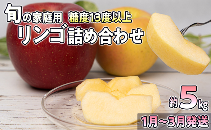 
1～3月発送【家庭用】旬のリンゴ詰め合わせ 約5kg糖度13度以上【弘前市産・青森りんご】
