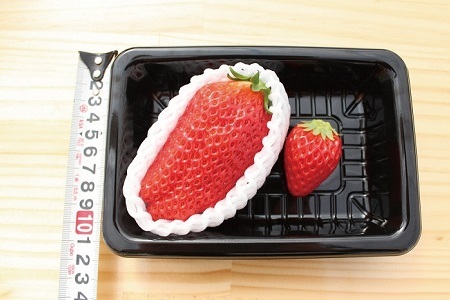 ≪数量限定≫ あきひめ スーパープレミアム 9個 (特大3個入り×3パック) 【2026年1月以降発送予定】 京都 丹波高原育ちの苺 京丹波町産 章姫 完熟 いちご 甘さ抜群 サイズ大 ビッグ 大粒