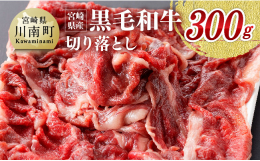 
宮崎県産黒毛和牛 切り落とし 300g 肉 牛 牛肉
