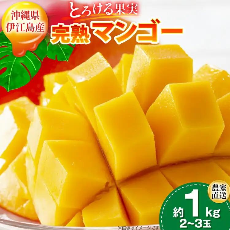 【2027年発送】マンゴー 完熟 秀品 アーウィン種 約 1kg (2〜3玉)