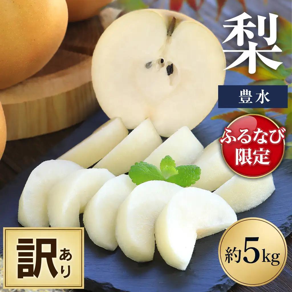 訳あり梨 豊水 約5㎏ 梨 なし フルーツ FN-Limited-PR