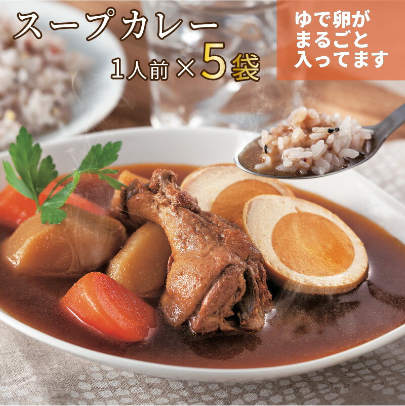 【ふるさと納税】具材たっぷりチキンスープカレー 5袋入り レトルト 小分け カレー セット 詰め合わせ 手羽元 ゆで卵 ルー【A5-323】