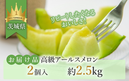 12-11茨城県産アールスメロン約2.5kg（2個）【2024年9月上旬～10月下旬ごろ発送予定】
