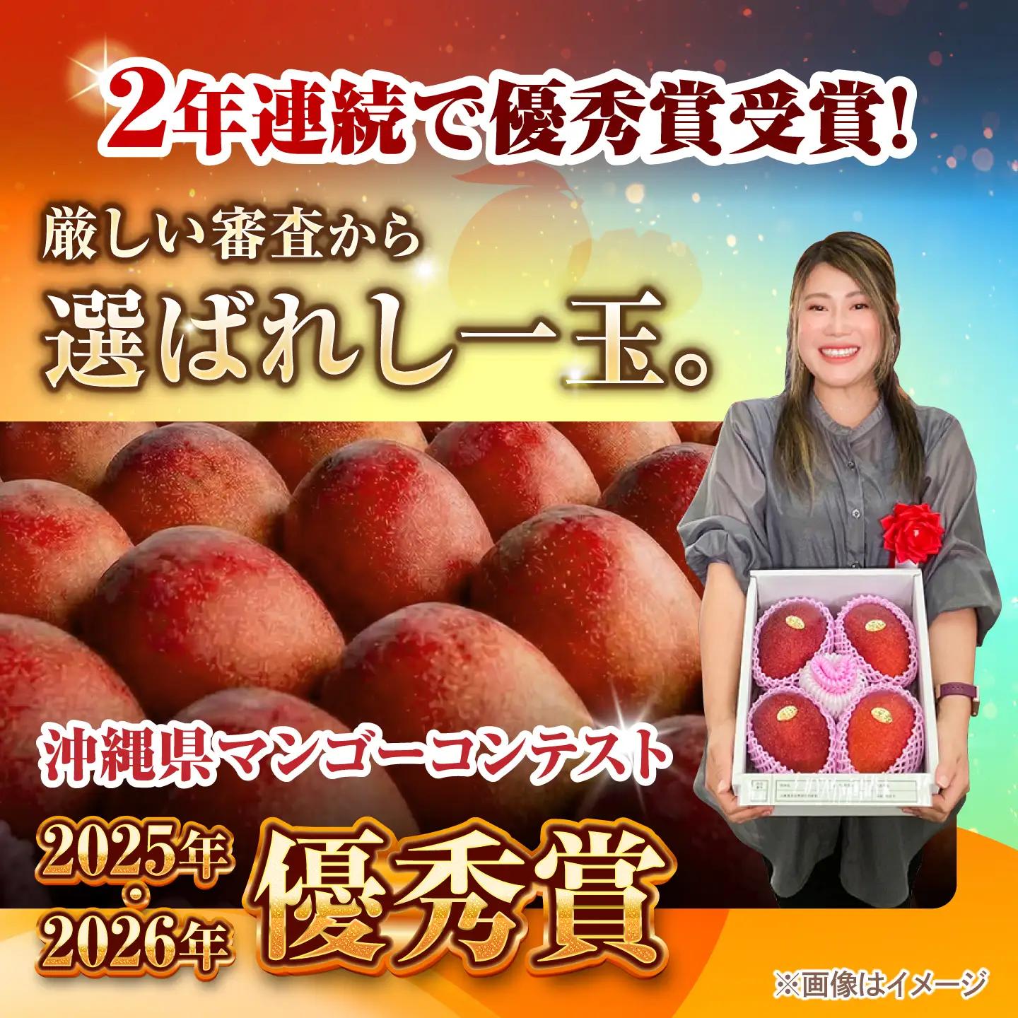【2027年発送】マンゴー 訳あり 2kg マンゴー 沖縄 BCAN004