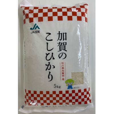 ふるさと納税 加賀市 石川県加賀市産　こしひかり5kg(令和6年産)