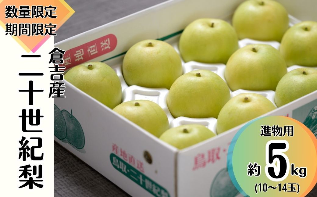 
            【先行予約】【数量限定】進物用 二十世紀梨 5kg 令和7年産 鳥取 梨 果物 フルーツ 和梨 先行予約 数量限定 詰め合わせ ギフト ギフト用 20世紀梨
          