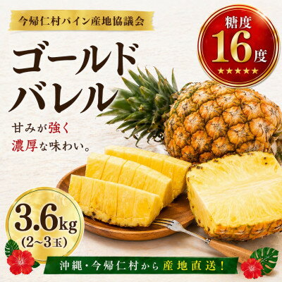 【ふるさと納税】【2026年6月下旬から順次発送】今帰仁村パイン産地協議会 ゴールドバレル3.6kg(2～3玉)【配送不可地域：離島】【1734540】