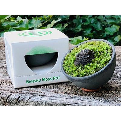 ふるさと納税 安城市 三州モスポット(sanshu moss pot)
