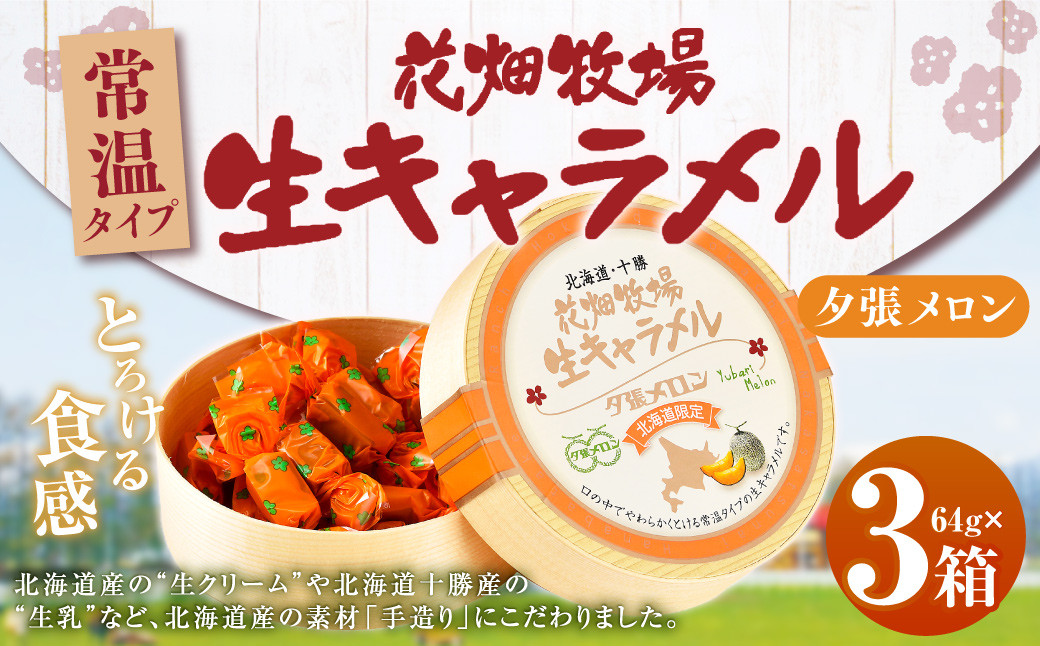 
            花畑牧場 生キャラメル 夕張メロン（常温） 64g×3セット キャラメル お菓子 おやつ メロン [002-0090]
          