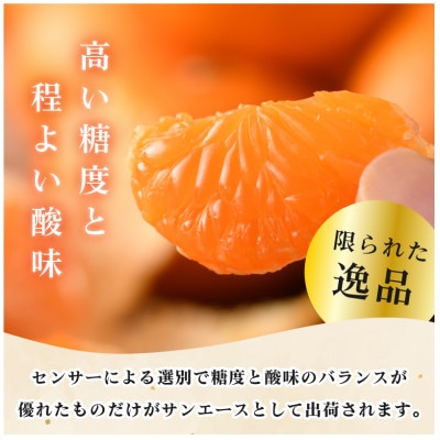 今治産柑橘 温州みかんサンエース 愛媛の大人気果物【B221】【配送不可地域：離島】