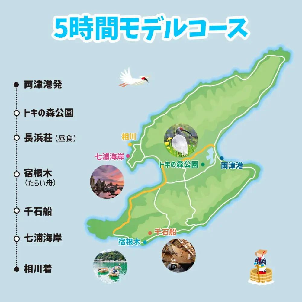 【新潟県佐渡】おけさ観光タクシー＜ヴェルファイア＞で巡る佐渡！5時間観光プラン ラグジュアリーハイヤー