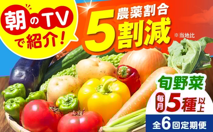 
            【全6回定期便】 米ぬかで育てた！旬のお野菜セット 詰合せ 詰め合わせ 新鮮 産地直送 おまかせ やさい 野菜セット 大阪府高槻市/ベジ彩ファーム [AOEJ006]
          