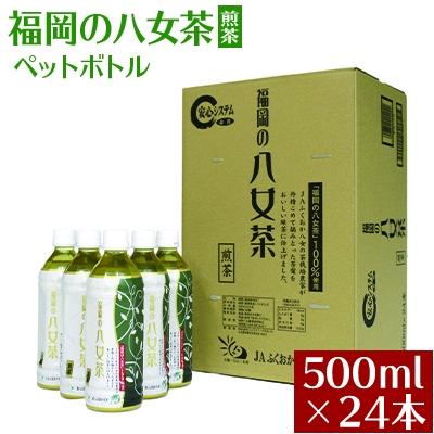 ふるさと納税 東峰村 福岡の八女茶　煎茶ペットボトル　500ml×24本