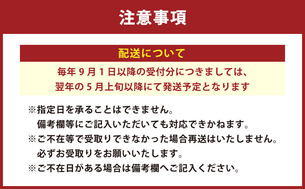 水なすの浅漬け 6個 ｜ 浅漬け 漬物 つけもの 野菜 水なす 水ナス  水茄子 なす ナス 茄子 泉州水なす 大阪府 阪南市