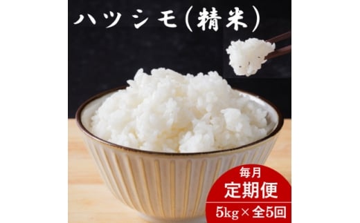 ＜毎月定期便＞岐阜県産ハツシモ(精米) 5kg全5回【4076406】