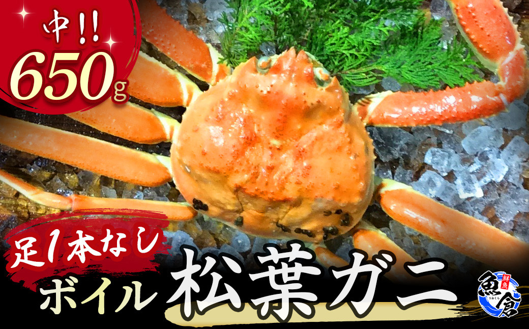 
            【魚倉】足１本なしボイル松葉ガニ（中６５０ｇ）訳あり 松葉ガニ カニ ズワイガニ カニ爪 冷蔵 かにしゃぶ カニ刺身 国産 わけあり 足欠け 足かけ 鮮度抜群 鳥取県 倉吉市
          