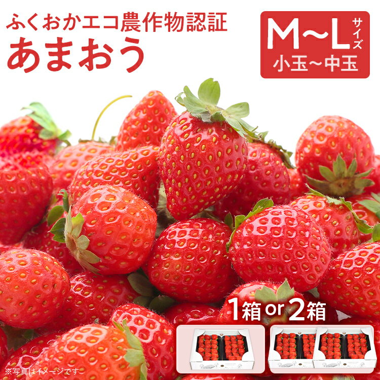 【ふるさと納税】ふくおかエコ農作物認証あまおう M～Lサイズ【選べる】 あまおう イチゴ 苺 いちご フルーツ 果物 くだもの 福岡県産 お取り寄せグルメ お取り寄せ 福岡 お土産 九州 福岡土産 取り寄せ グルメ 福岡県