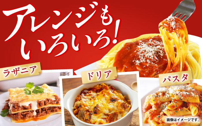 【小分け】日本ハム レストラン仕様ボロネーゼ10パックセット(1パック4袋入り)計40食分/ ボロネーゼ ぼろねーぜ ミートソース 麺 レトルト 牛肉 小分け 非常食 防災 備蓄 / 諫早市 / AH