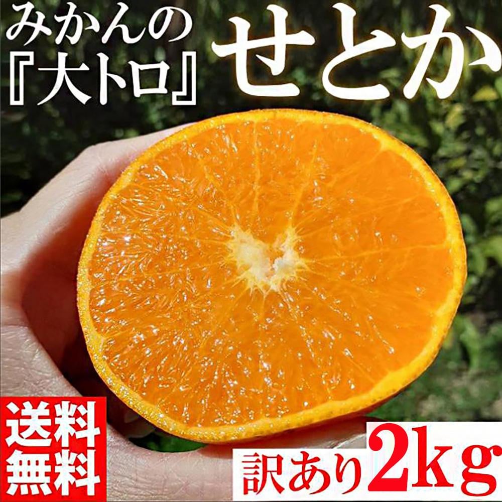 
みかん の大トロ せとか 約2kg S～LLサイズ混合 訳あり ブランド 和歌山 有田 みかん 農家直送 オレンジ フルーツ 果物
