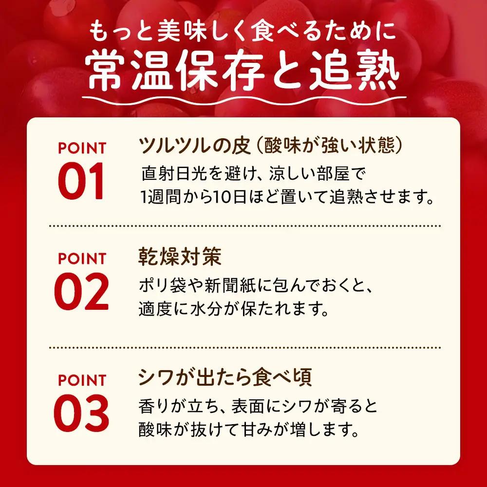【2027年発送先行受付】絶品パッションフルーツ2L玉（14玉）“屋久島の恵み”と“愛情”込めて！