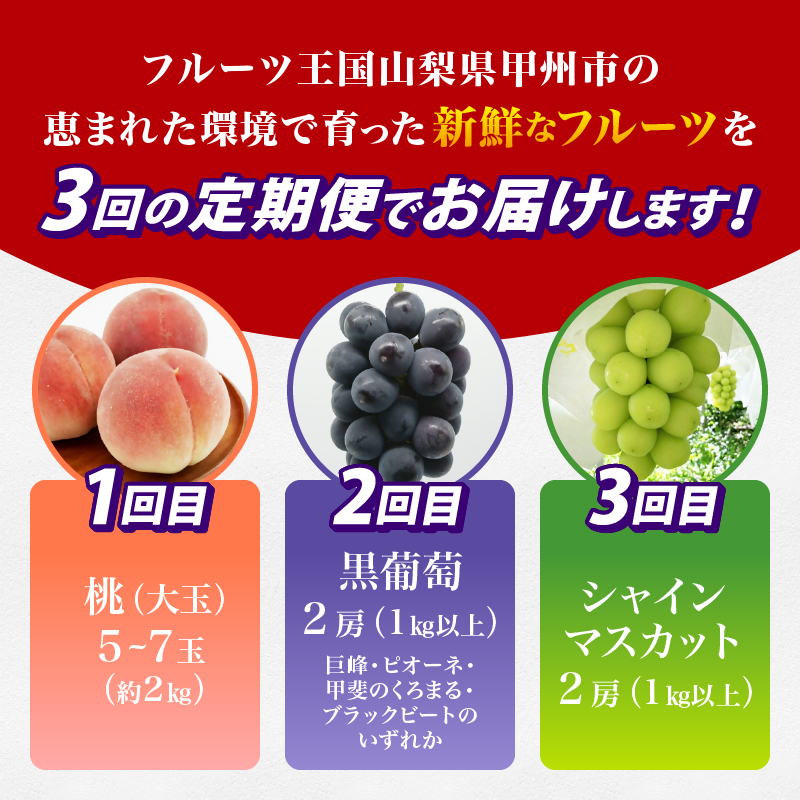 【定期便】甲州の名産品が詰まった厳選フルーツ3回定期便 桃・黒葡萄・シャインマスカット【2026年発送】（IS）D-465