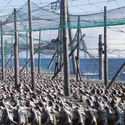 ふるさと納税 稚内市 手づくり真鱈の本棒鱈煮100g入×2袋セット |  | 03