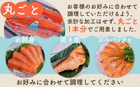 富士の介丸ごとセット
