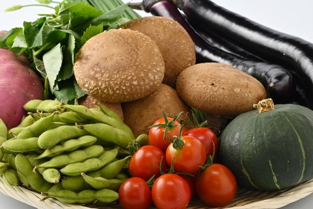 【産地直送】採りたて野菜セット 【菜っ葉館】≪旬の野菜 新鮮 詰め合わせ 栃木県産 国産≫◇