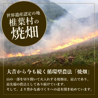 ふるさと納税 椎葉村 【世界農業遺産の産物】焼畑農家がつくったよもぎ茶 ティーバック 8P入り×3袋【野草茶】YS-29 |  | 03