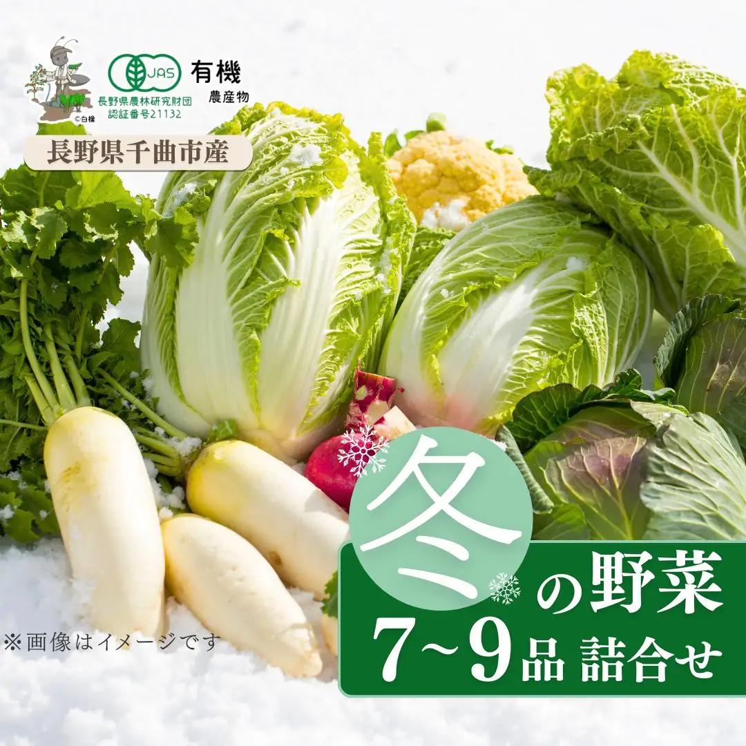 【2026年先行予約】信州ありさんファーム 旬の野菜 7~9品 冬版 【有機JAS認証】|有機野菜 野菜