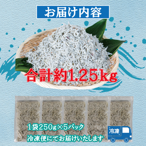 訳あり しらす 約1.25kg 訳あり 不揃い しらす干し ごはんのお供 おつまみ 便利 しらす丼 グルメ 食品 魚 海鮮 シラス 愛媛県 松山市 （ しらす 訳あり しらす 訳あり しらす 訳あり 