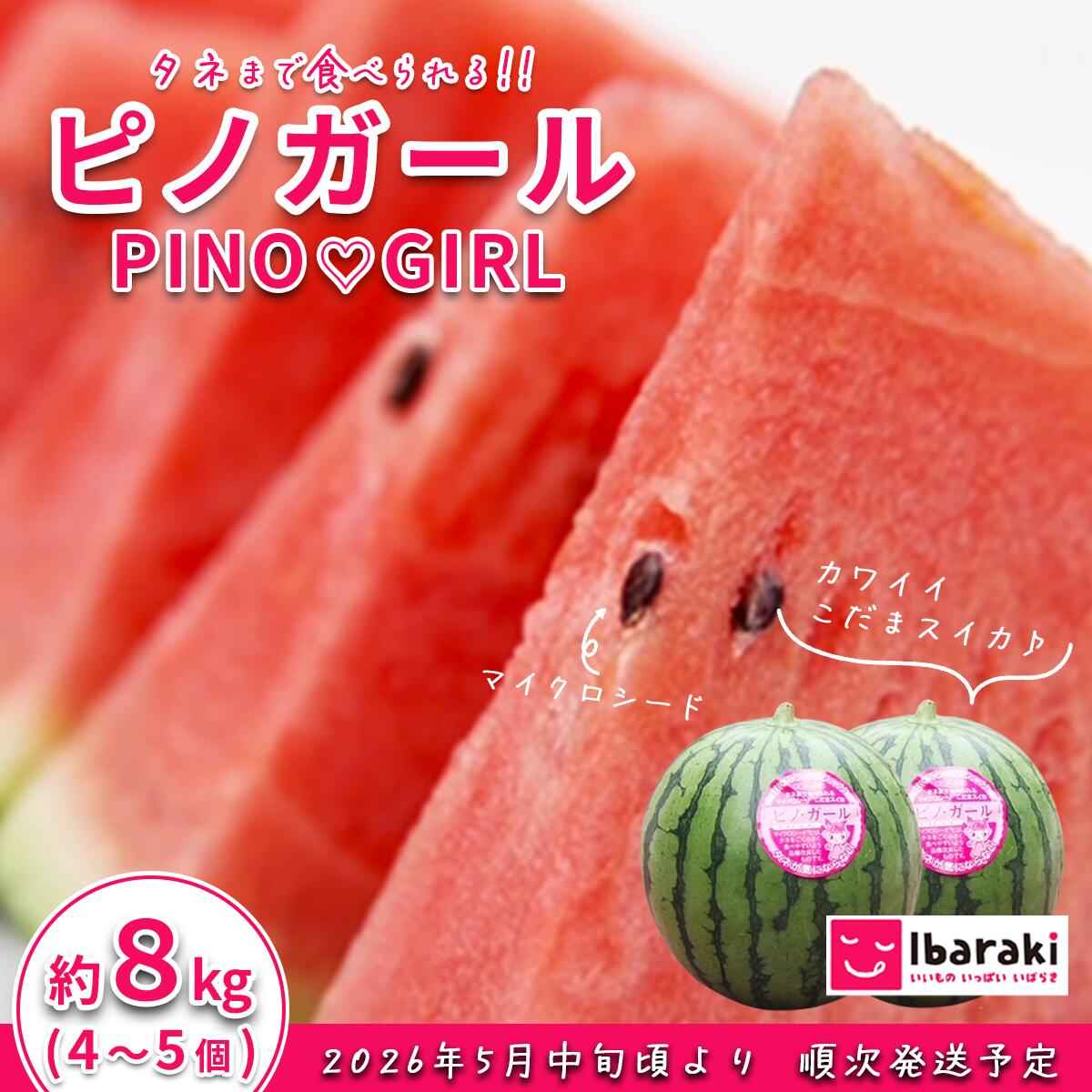 【ふるさと納税】すいか スイカ 西瓜 小玉すいか こだますいか フルーツ 果物 くだもの 12-18 茨城県産 ピノガール 約 8kg (4～5個) 先行予約【2026年5月中旬～6月中旬ごろ発送予定】