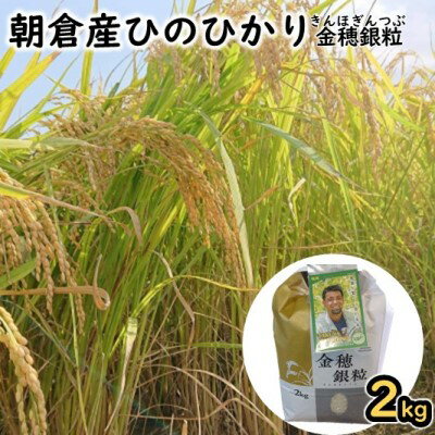 【ふるさと納税】果樹園なのに米もあるよ ヌカ切れ抜群！令和4年度産《金穂銀粒（きんほぎんつぶ）》福岡県 あさくら産 ひのひかり 2kg お米 　お届け：2025年11月～2026年5月
