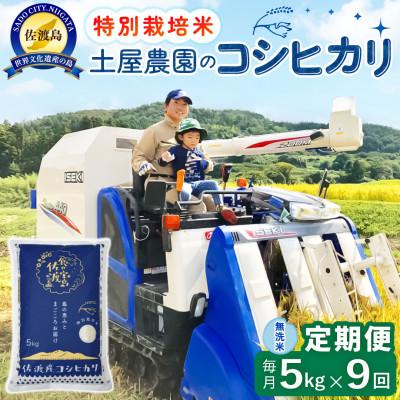 ふるさと納税 佐渡市 【毎月定期便】佐渡島産コシヒカリ 無洗米5kg 土屋農園 農家直送 特別栽培米　全9回