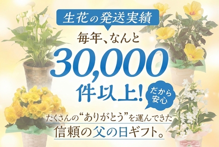 《父の日までにお届け》リーガスベゴニア イエロー 花 花 鉢植え 鉢 鉢花 花 観葉植物 植物 5号鉢 人気 おしゃれ かわいい 父の日 プレゼント 贈り物 贈答 ギフト 夏 フラワーギフト 父 あり