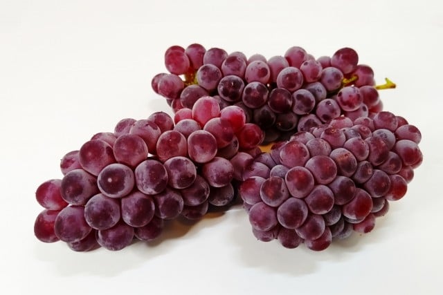 
            【先行受付：2026年発送】信州産 デラウェア 約2kg (11～14房)　｜ふるさと納税 松本市  ぶどう 葡萄 デラウェア 果物 フルーツ 新鮮 信州産 8月発送
          