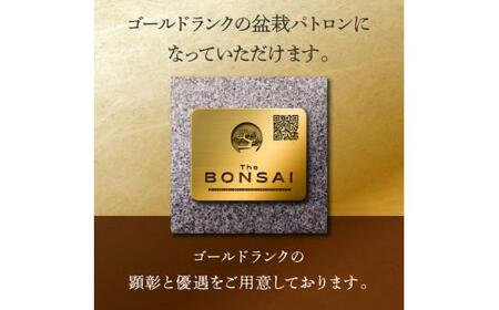 NFT クラウドファンディング 盆栽パトロン 高松盆栽 支援 非日常体験 盆栽パトロンNFT ゴールドランク【T183-001】