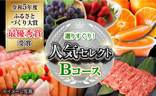 【12回定期便】選りすぐり！人気セレクト Bコース（ ハムセット いちご トマト ジュース 長崎和牛 ジェラート プリン ジュレ ぶどう お米 みかん 野菜 果物 ）/ 便利な定期便 バラエティ定期便 バラエティ / 大村市 / おおむら夢ファームシュシュ[ACAA123]