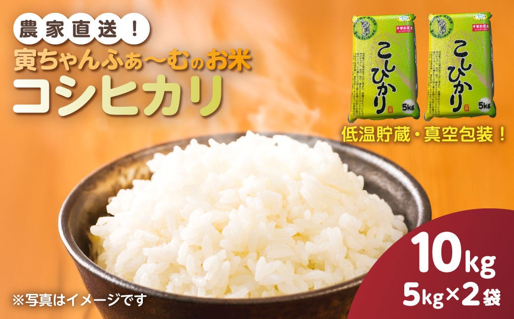 
            【先行予約2025年10月上旬から発送開始】コシヒカリ　10kg（5kg×2袋）令和7年産　 【 ふるさと納税 人気 おすすめ ランキング 米 精米 白米 お米 こしひかり コシヒカリ 千葉県 山武市 送料無料 】SMBX004
          