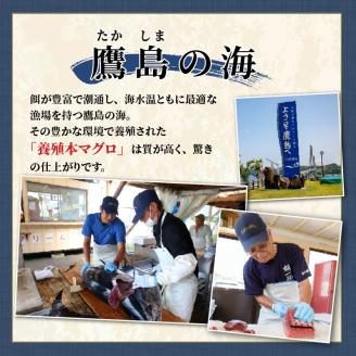 【全3回定期便】鷹島産本まぐろ 中トロと赤身合わせて350g【E2-005】 定期便 海鮮 本まぐろ まぐろ 本マグロ マグロ 鮪 中トロ 赤身 松浦市