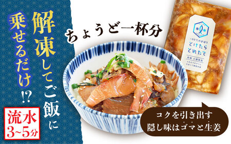 とけたらとれたて ヒラマサ 漬け丼 の素 4食分【しまうま商会】[DAB051]/ 長崎 刺身 魚 刺身 魚介類 刺身 海鮮 刺身 丼 刺身 海鮮丼 刺身 小分け 刺身 調理不要 刺身 おススメ海鮮丼