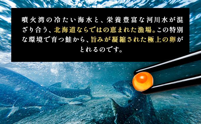 イクラの醬油漬け 500g(250g×2パック) ogm-012 500g(250g×2パック)