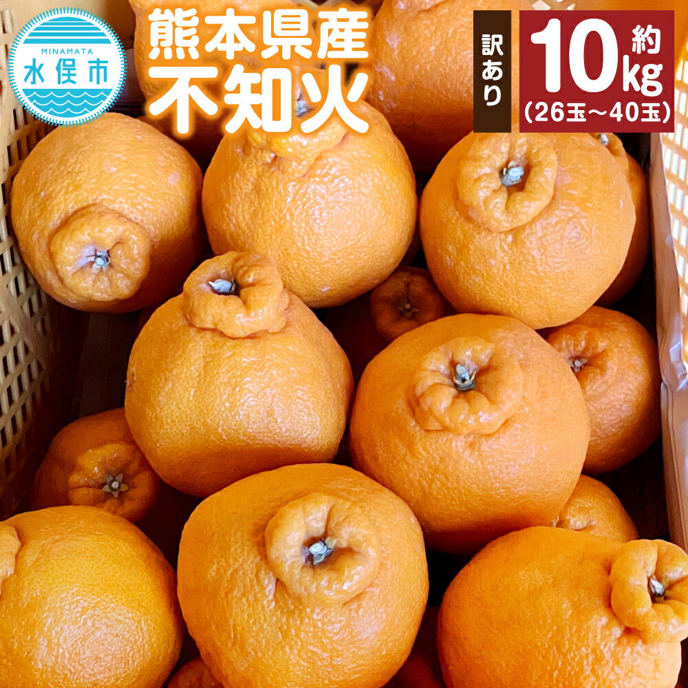 【ふるさと納税】【訳アリ】熊本県産 不知火 約10kg 26玉～40玉 デコポン同一品種 柑橘 みかん 蜜柑 ミカン フルーツ 果物 国産 九州 訳あり 送料無料【2026年1月下旬～2月下旬迄発送予定】