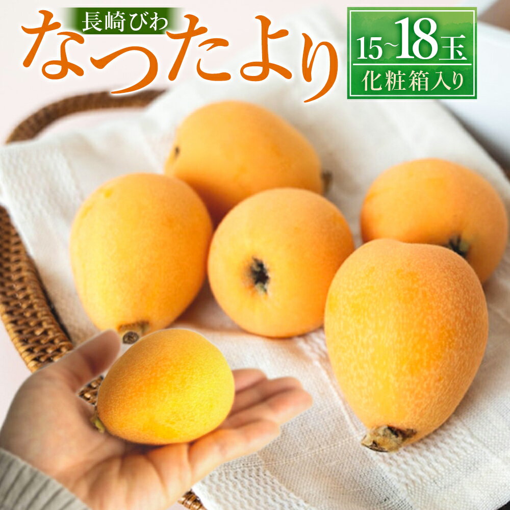 【ふるさと納税】長崎びわ「なつたより」15玉-18玉入り 果物 くだもの フルーツ ビワ びわ 旬 常温 長崎県 長崎市 送料無料 【2026年5月上旬~6月上旬発送予定】