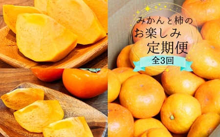 【10・11・12月 全3回】和歌山産 みかんと柿のお楽しみ 定期便 【魚鶴商店】【UT111】【Z91093-tkb】
